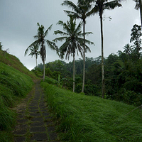 Photo de Bali - Balade, Garuda et spectacle